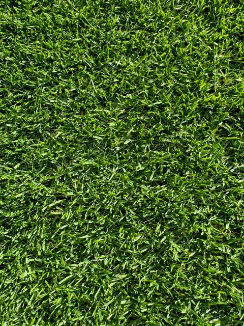 Traumrasen Rigby Taylor R6 CRT