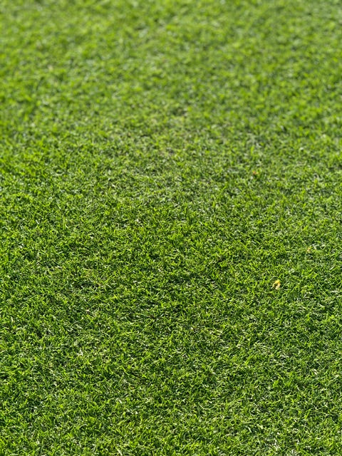 Traumrasen Rigby Taylor R6 CRT