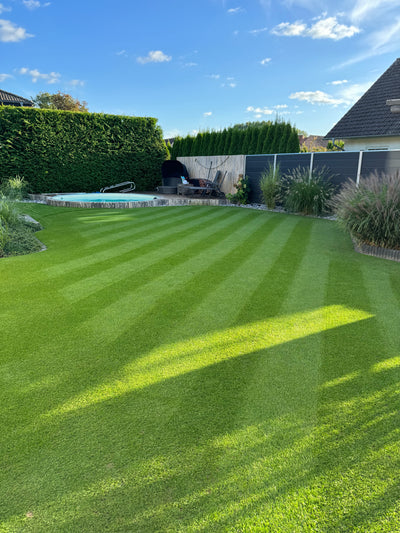 Traumrasen Professionelle Rasensaat Rigby Taylor R8