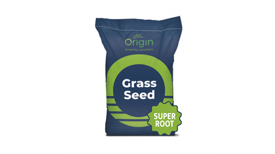 Super Root - MOWJOBS